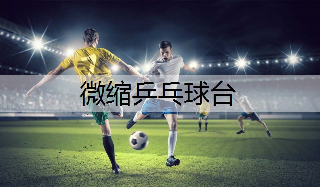 微缩乒乓球台