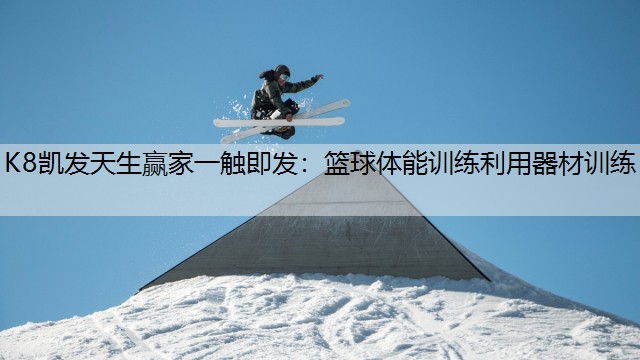 篮球体能训练利用器材训练