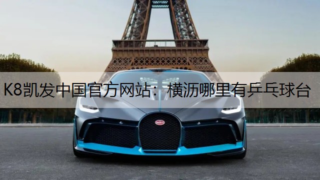 横沥哪里有乒乓球台