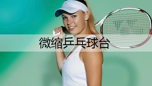 微缩乒乓球台